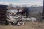 Свалку биологических отходов и несанкционированную бойню обнаружили в Ивановском округе