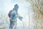 Более 45 человек тушат природный пожар в Архаринском округе