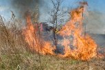 В Приамурье пожарные тушили палы на территории  12 муниципалитетов