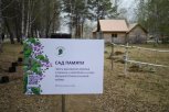 В Благовещенске высадят 150 саженцев липы и бересклета: Приамурье присоединится к акции «Сад Памяти»
