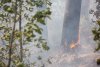 Непростая ситуация: четыре пожара в Магдагачинском округе тушат 270 человек
