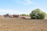 Ставка на сою: амурский минсельхоз рассказал о планах на посевную кампанию