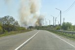 Огонь охватил 19 тысяч гектаров: в Амурской области потушили пять природных пожаров