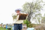 Пасека на колесах: как пчелы спасли белогорца от инвалидной коляски