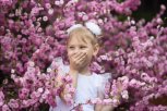 Расцветали ели, сакура и майник: на конкурс «Амурской правды» читатели прислали первые снимки