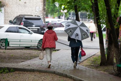 Кратковременные дожди пройдут в Амурской области в среду: прогноз погоды на 5 июня