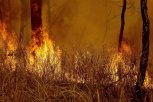 Число природных пожаров в Приамурье удалось сократить