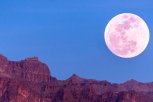 Клубничную Луну можно будет увидеть в ночь на 22 июня