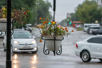 Синоптики спрогнозировали небольшой дождь в Благовещенске и грозы местами по области