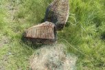 Этим летом в Амурской области от рыболовных сетей и мусора очистят 35 озер и водохранилищ