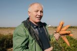 Почему немытая амурская морковка полезнее чистой китайской