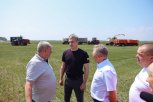 «Луч» планирует расширить ферму в Ивановке до самой крупной на Дальнем Востоке