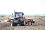 Посевная кампания в Приамурье финишировала:к сое и пшенице добавили больше двух тысяч гектаров рапса