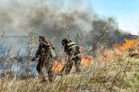 За сутки на севере Амурской области потушили четыре лесных пожара