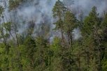 За сутки на севере Амурской области потушили семь природных пожаров
