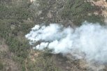 Четыре лесных пожара удалось потушить в Тындинском округе
