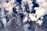 На территории Приамурья действует 71 лесной пожар