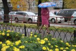 Синоптики предупреждают амурчан о смене погоды: в Приамурье ожидаются ливни и град