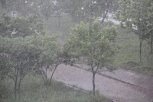 На северо-западе Приамурья пройдут ливни: прогноз погоды на 14 июля
