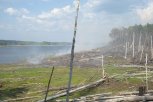 Небрежность «рыбаков» на берегу Бурейского водохранилища привела к лесному пожару