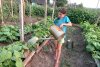 «Такой засухи в Приамурье не было 14 лет»: как помочь растениям пережить аномальную жару