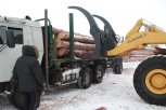 Предпринимателя из Селемджинского района осудили за гибель водителя лесовоза