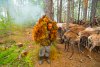 На вахтовках и оленях добрались участники этнографической экспедиции к эвенкам Приамурья