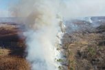 Из-за сухих гроз в Приамурье возникли 12 природных пожаров