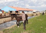 Молодые аграрии в Октябрьском районе и Тамбовском округе претендуют на выплаты на миллион рублей