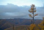 Водить туристов по опасным маршрутам смогут более 20 амурчан