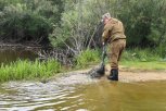 Амурские охотоведы убрались на 35 водоемах и вытащили больше километра брошенных рыбаками сетей