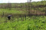 Из-за ухудшения пожароопасной обстановки в восьми амурских муниципалитетах запретили посещения лесов