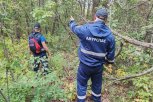 Спасатели начали поиски пропавшего в Моховой Пади мужчины