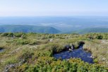 В Зейском заповеднике появилась новая тропа для участников Всероссийского конкурса путешественников