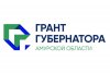 Достойные идеи жителей Приамурья получат поддержку на втором конкурсе грантов губернатора