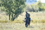 В пятницу в Амурской области не выше 17 градусов тепла