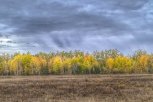 Кратковременный дождь местами намочит Амурскую область