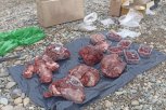 В Мазановском округе амурчане на лодках перевозили мясо трех косуль