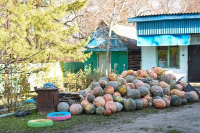 Малооблачно и без осадков: погода в последнюю субботу октября в Амурской области