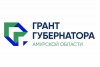 Общественники Приамурья получили почти 14 миллионов рублей в рамках гранта губернатора Приамурья