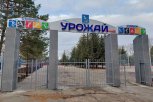 Стадион «Урожай» в селе Тамбовка готовится к открытию после капитального ремонта