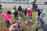 12,5 тысячи человек и 220 тонн мусора: в Благовещенске подвели итоги экоакции «Город берегу»