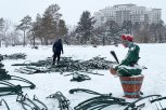 В Благовещенске на площади Ленина начали собирать главную елку