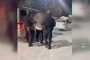 Экстремистская символика на аватарке и на плакате в общежитии стали причиной задержания двух амурчан