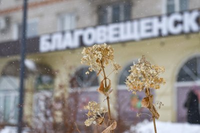 Мороз до -28 градусов и увеличение облачности: прогноз погоды в Амурской области