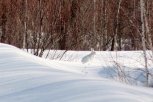 Амурские синоптики спрогнозировали дневное понижение температуры до 28 градусов мороза