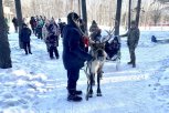 В Тынде детей участников СВО прокатили в оленьей упряжке