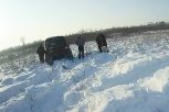 Четверых амурчан с оружием и мертвыми косулями поймали  в Завитинском заказнике