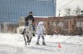 Фото: Федерация конного спорта Амурской области