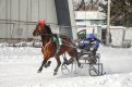 Фото: Федерация конного спорта Амурской области